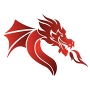 Dragon Air Services LLC logo