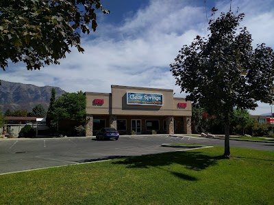 Clear Springs Pool & Spa logo