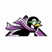 Penguin Air, Plumbing & Electrical logo