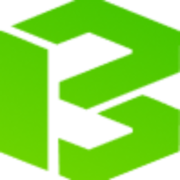 Boston Insulation Group logo