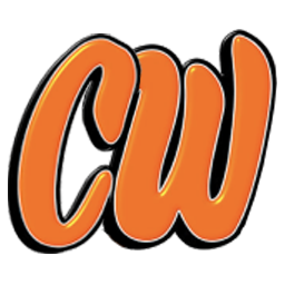 City Wide Insulation logo