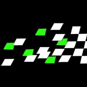 Finish Line Outdoor Services logo