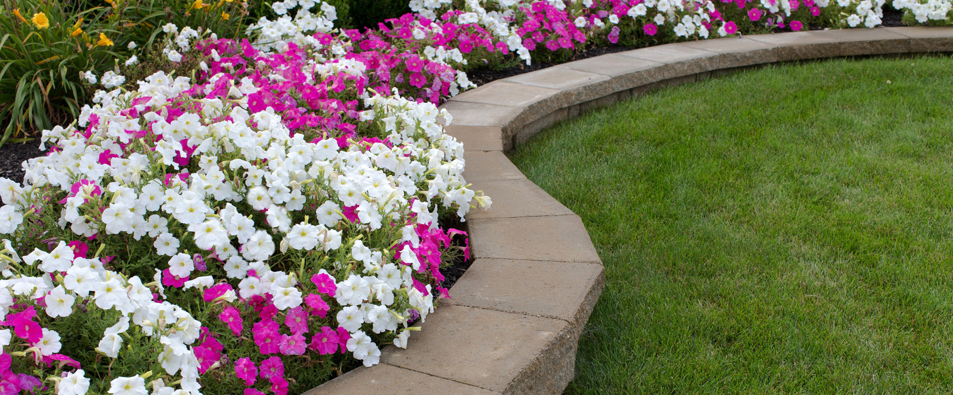 Gulf Coast Landscapes, LLC. logo