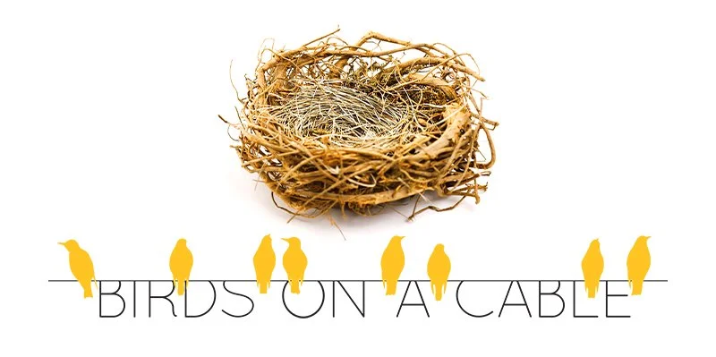 BIRDS ON A CABLE, LLC logo