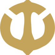 Titan Security & Investigation Inc. logo