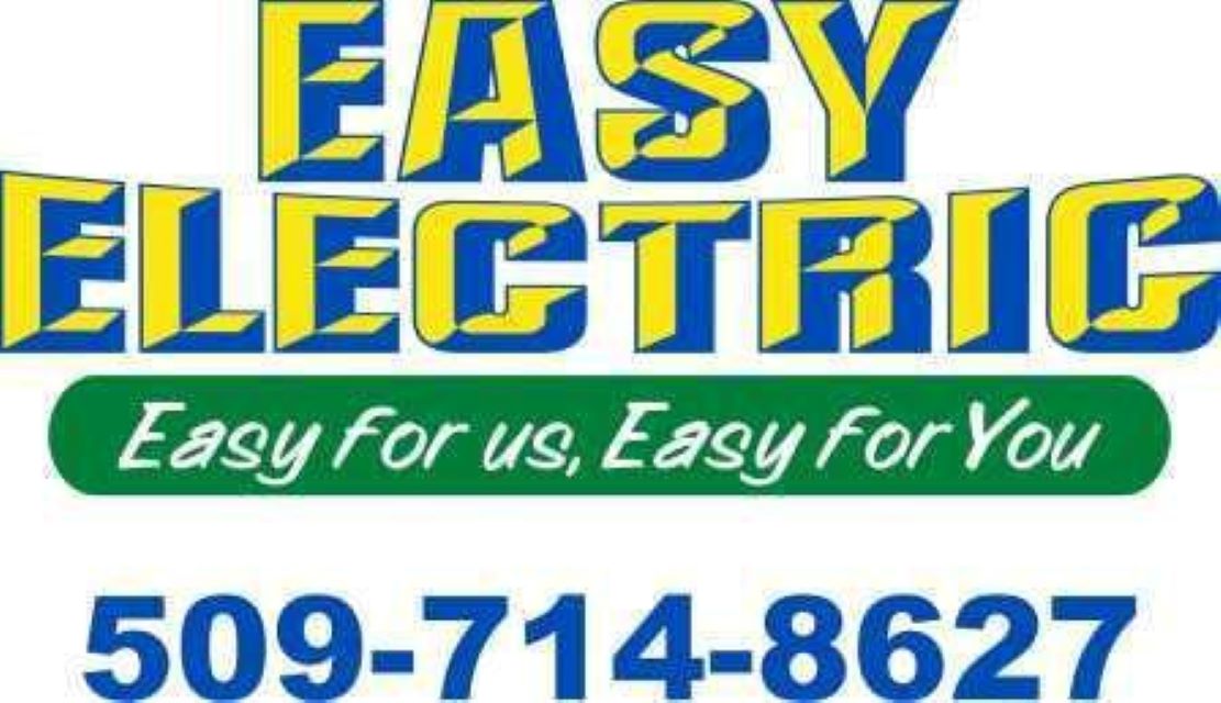 Easy Electric logo