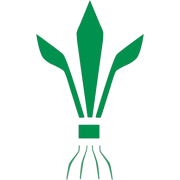 Nitro Green Professional Lawn & Tree Care logo