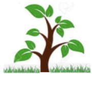 Evergreen Landscaping logo