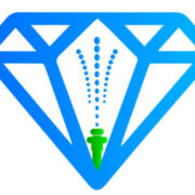 Diamond Irrigation & Landscaping logo