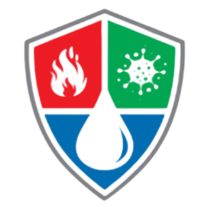 ABS Services, Inc. logo