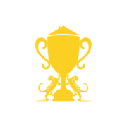 TRIUMPH ROOFING AND CONSTRUCTION logo