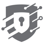 Chicago Security Expert logo