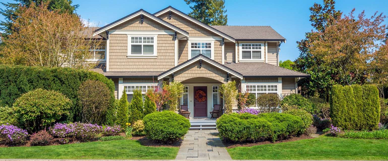 Next Level Exteriors logo