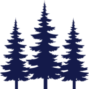 Plumbing Solutions of Idaho logo