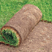 Island Grown Sod Ltd & Landscaping logo