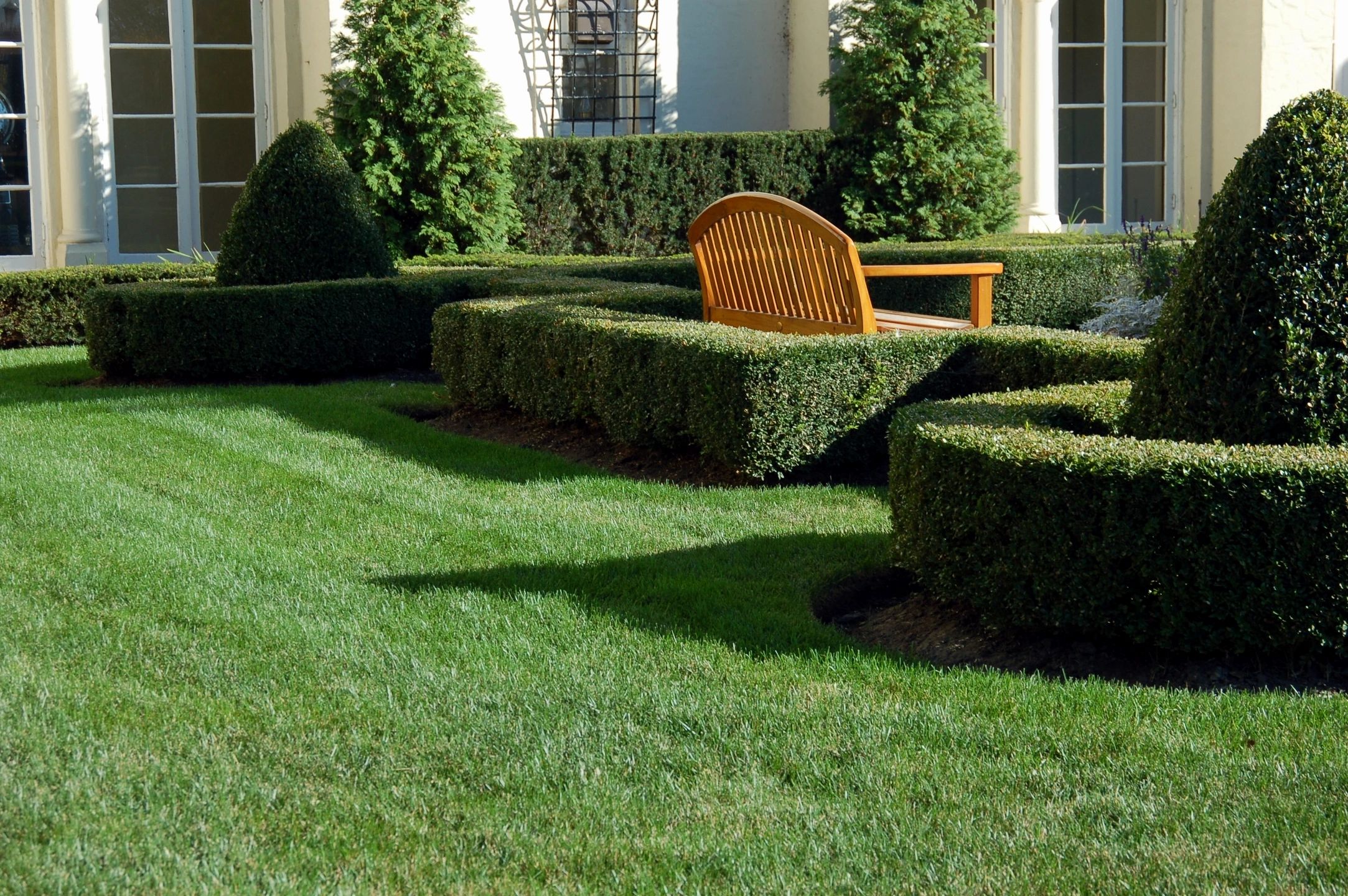 DNS Grass Cutting & Landscaping Inc. logo