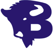 Bison Fire Protection Inc logo