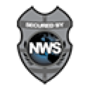 New World Solutions logo