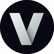 Viper Security Inc logo