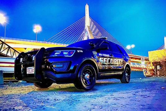 New England Security & Protective Services Agency Inc. logo