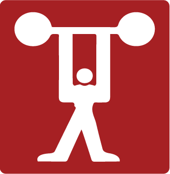 Power Alarm Security Systems logo