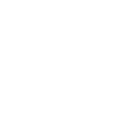 Fidelis Security Solutions logo