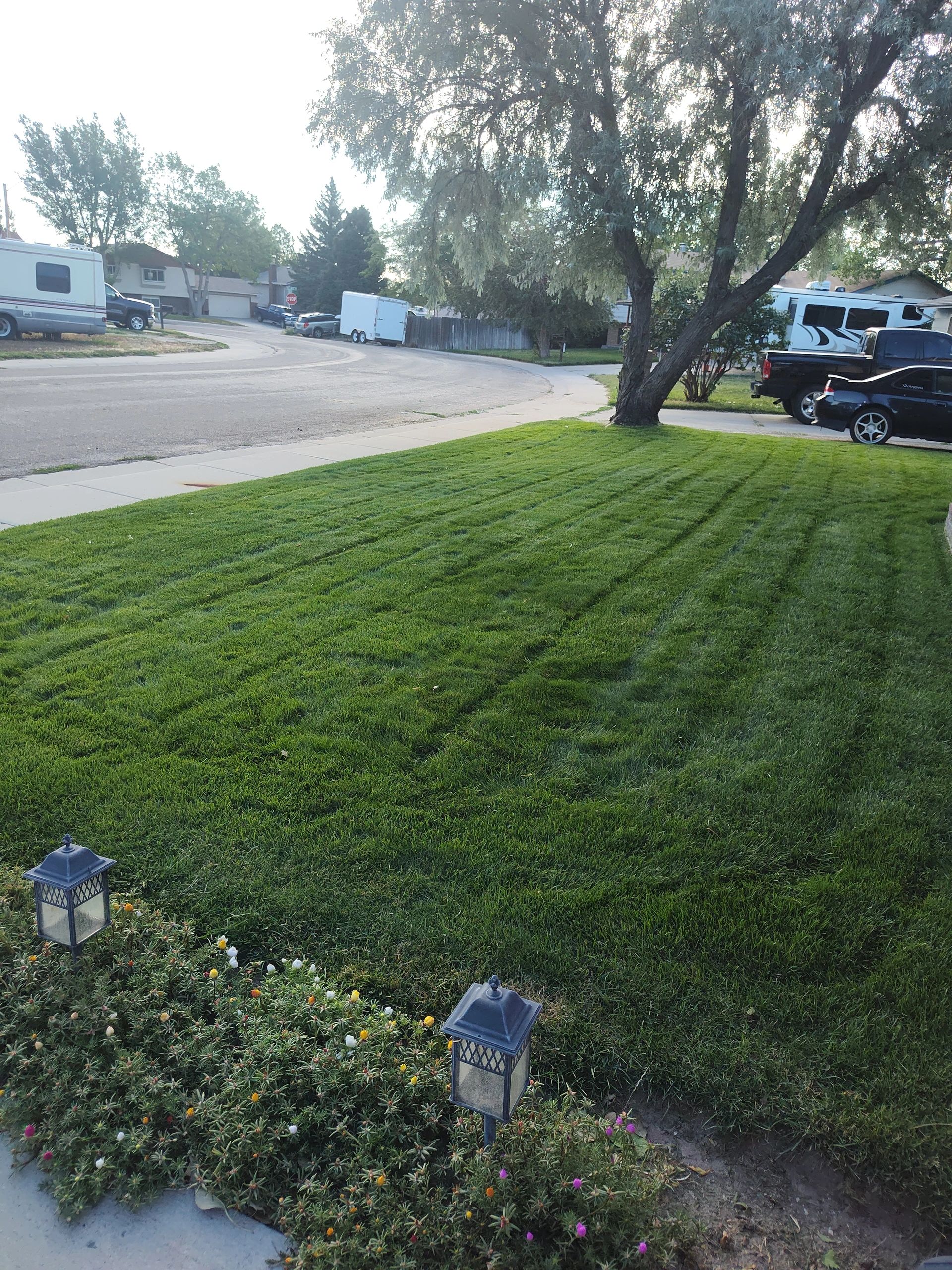 Mike's Lawn Service (Formerly LG Lawn Service) logo