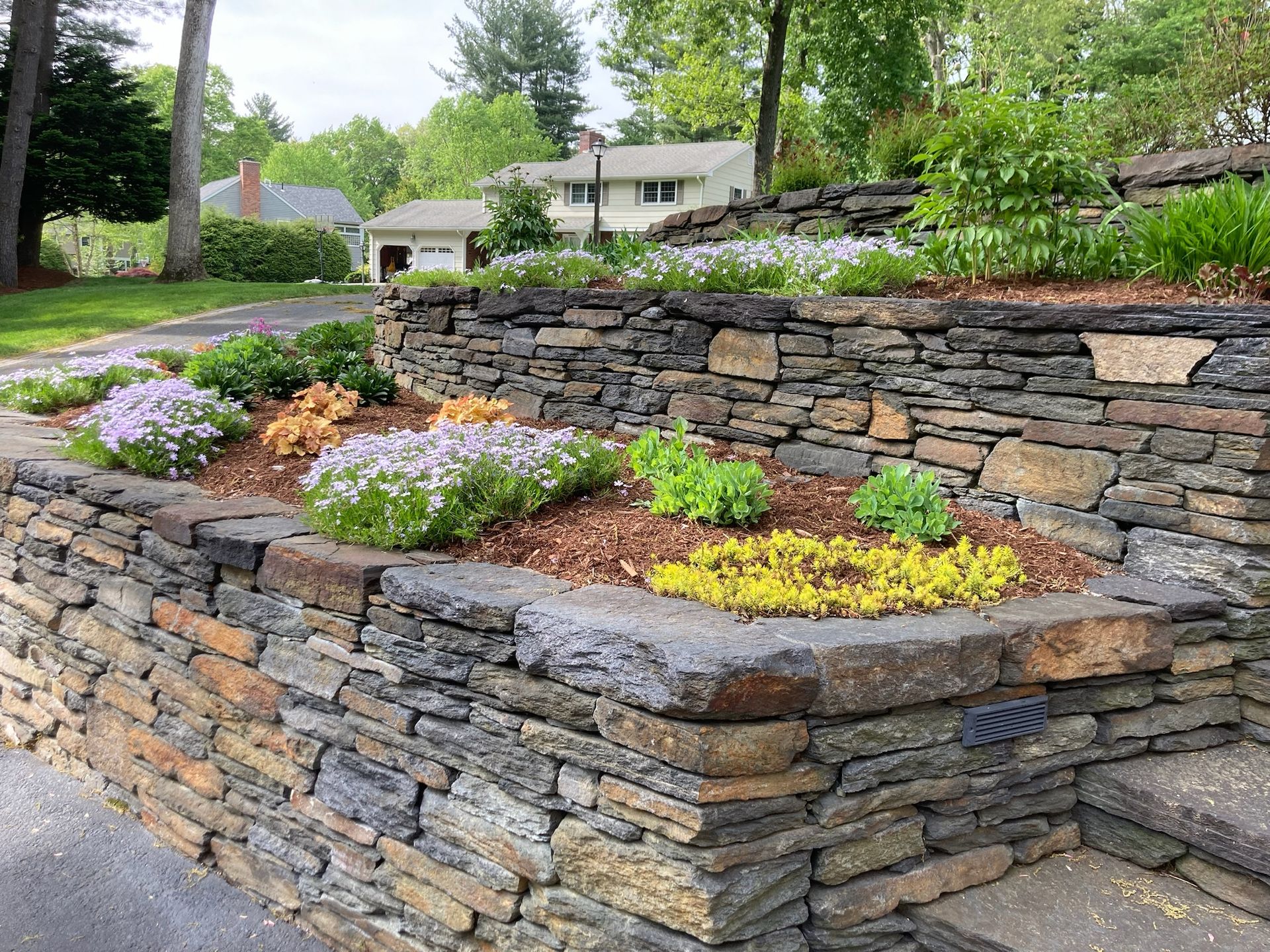 By Design Landscape Concepts, Inc. logo