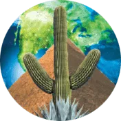 Trinity Landscaping LLC logo