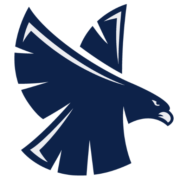 Falcon Landscapes Pavers & Masonry LLC logo