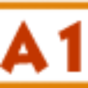 A1 Super Services llc logo
