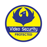 Video Systems & Security, Inc. logo