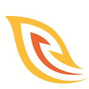 RapidFire Protection logo