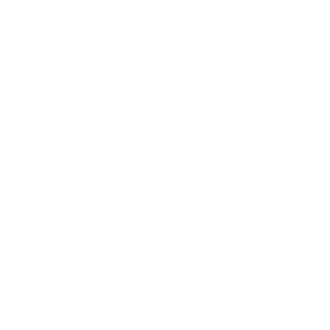 Performance Firestop Inc. logo