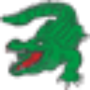 Cajun Overhead Door & Repair Service Inc. logo