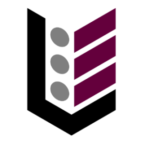 Lamey Electric, Inc. logo