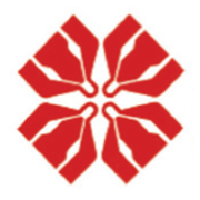 Auxiliary Engine & Generator Services logo