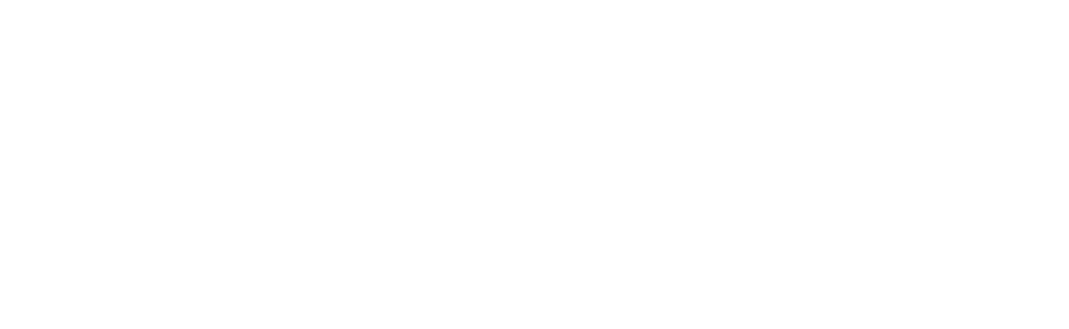 Newton Electric logo